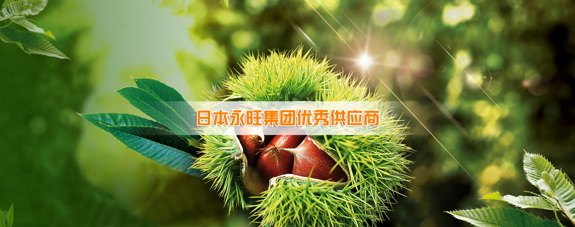 中国·8827太阳集团(股份)有限公司-官方网站